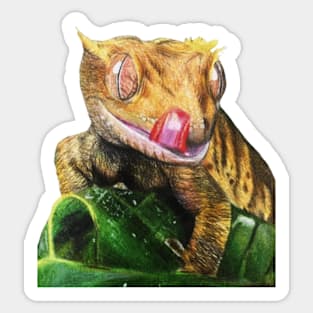 Crested Gecko Sticker